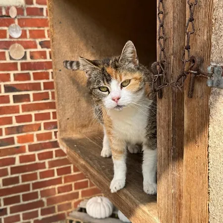 Hébergement de vacances Schlottmann