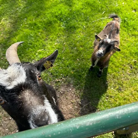 Schlottmann * Achtrup