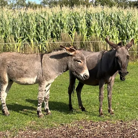 Hébergement de vacances Schlottmann Achtrup