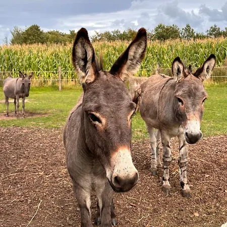 Hébergement de vacances Schlottmann Achtrup