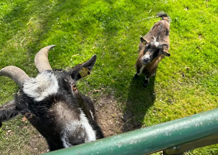 Schlottmann * Achtrup