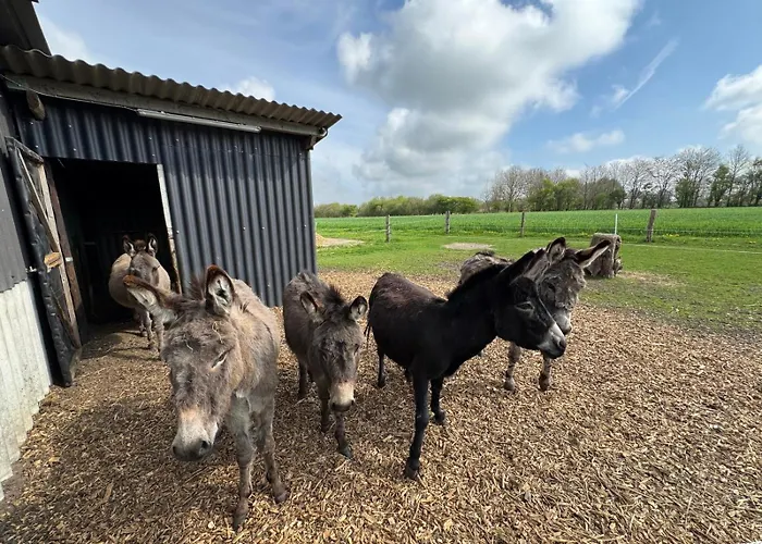 Vakantiehuis Schlottmann